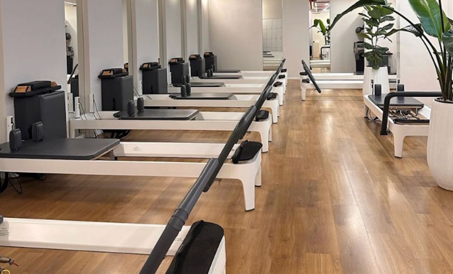Studio Pilates Reformer
